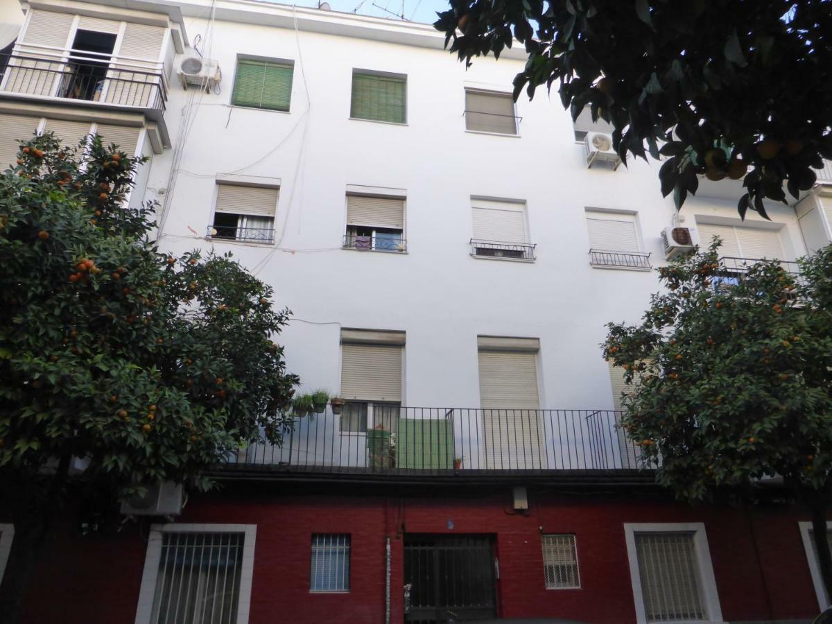 Esencia Sevilla Exterior photo